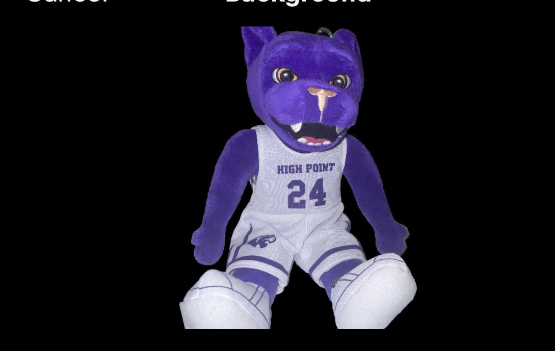 High Point University Plush (Prowler)