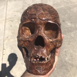 Skull