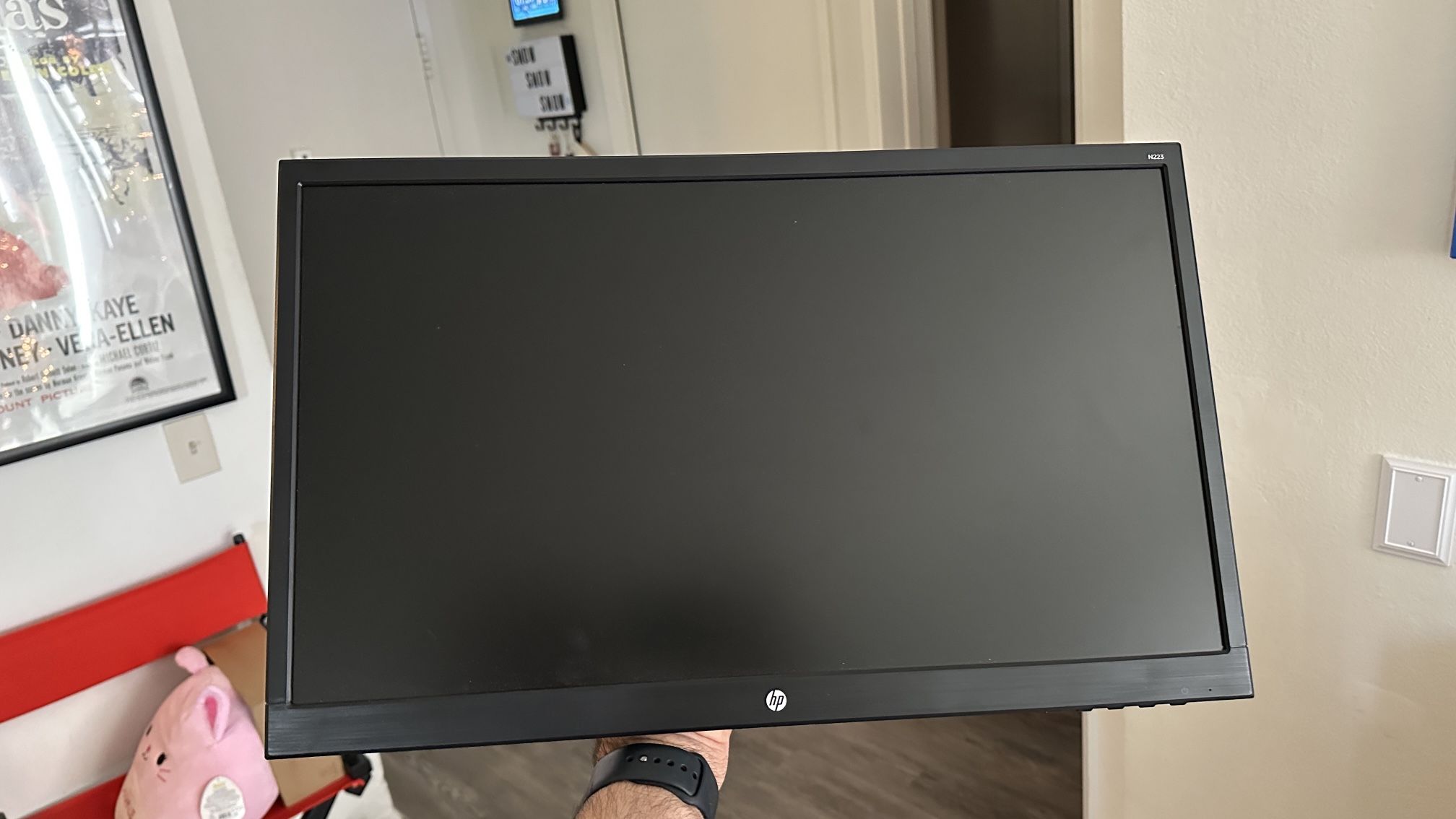 HP Computer Monitor (No Stand)