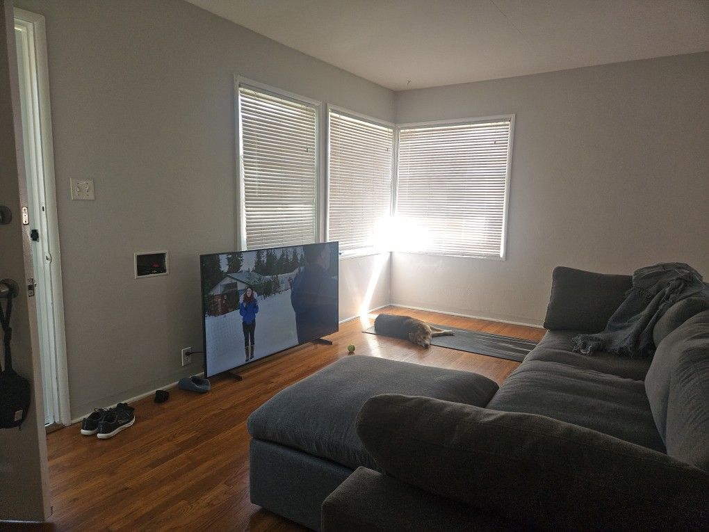 Cozey Ciello Couch
