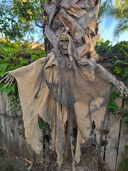 Halloween Decor