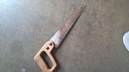 Little hand saw