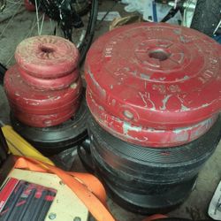 Standard Plastic Weights - 189lb