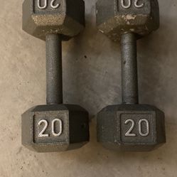 20LB Dumbbells