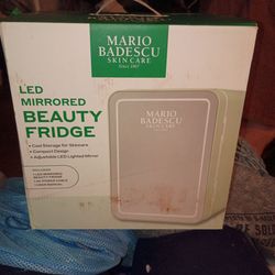 LED beauty fridge