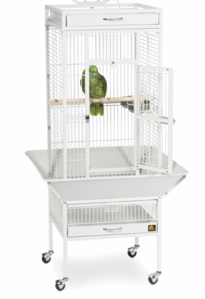 Bird cage used