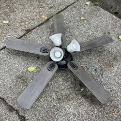 Ceiling Fan