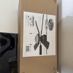 Ceiling Fan 