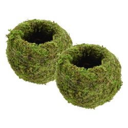 2, Moss Covered Flower Pots