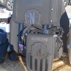 Minnie Bags  ...Wednesday  Bag 