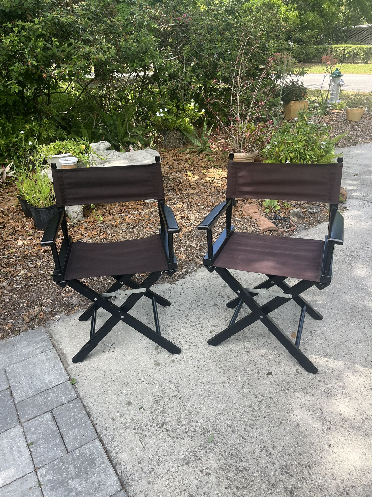 Director Chairs (2)
