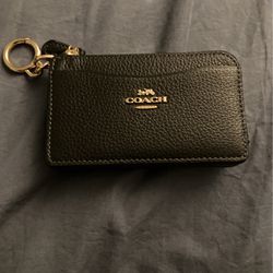 Coach Outlet Mini Skinny Id Case