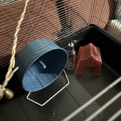 Hamster Setup
