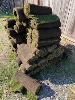 580sq’ fresh cut sod