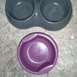 Cat bowls