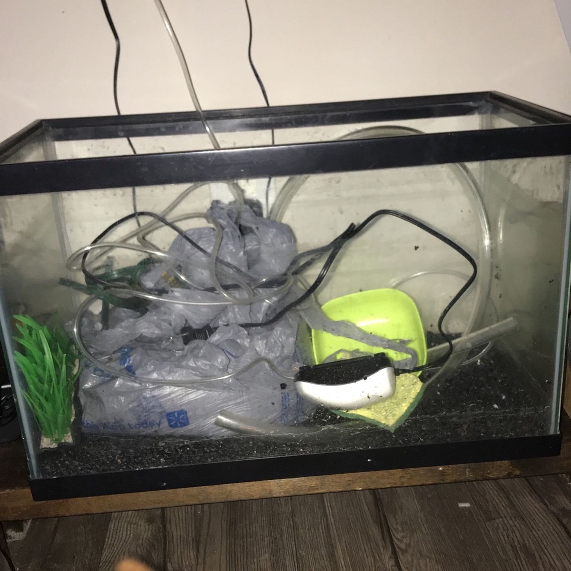 10 Gallon Fish Tank With Air Bubbler And Sponge Filter