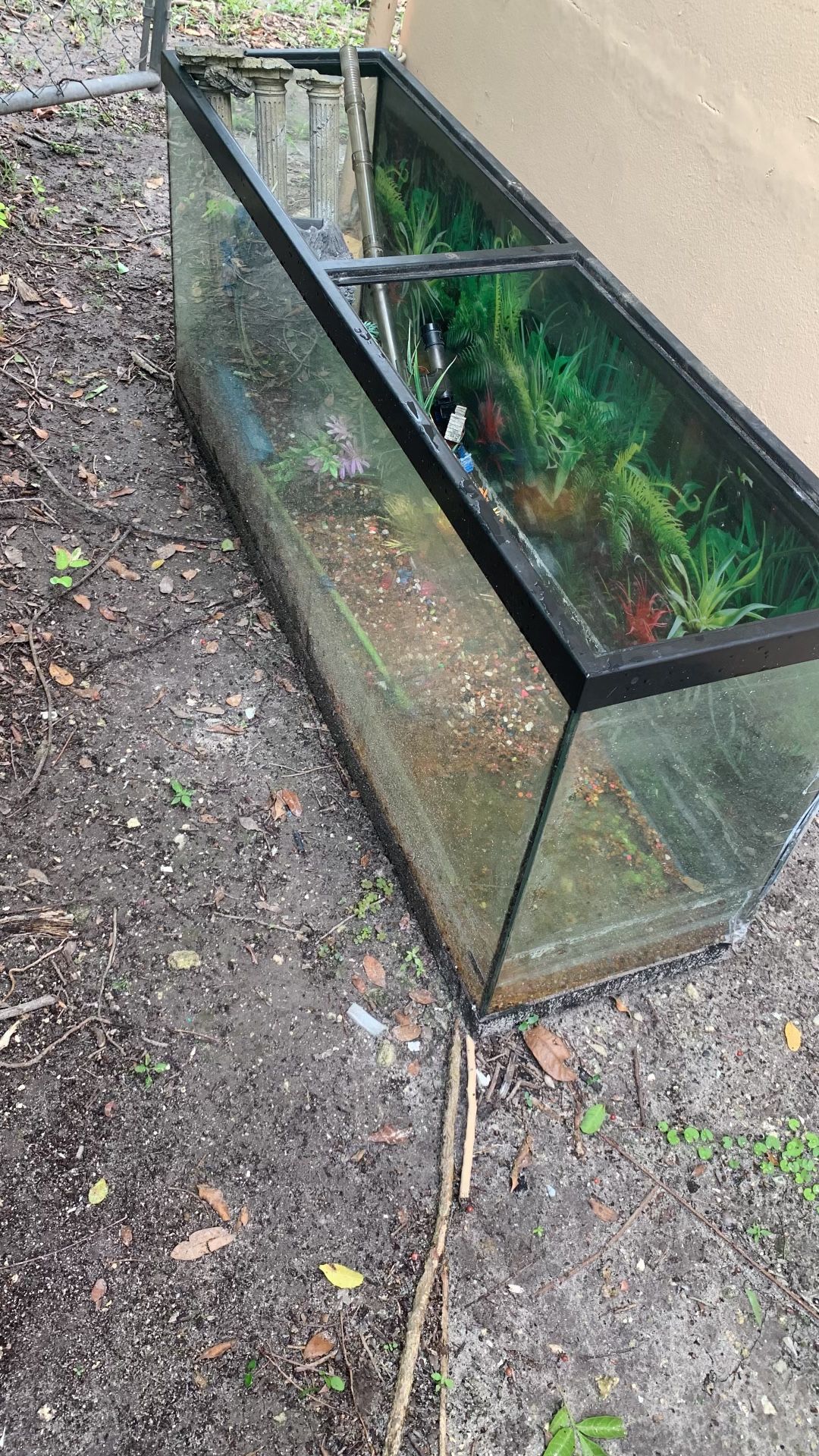 55gl Fish Tank - $40