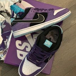 Brand New Hayley Wilson Nike SB SZ 10.5