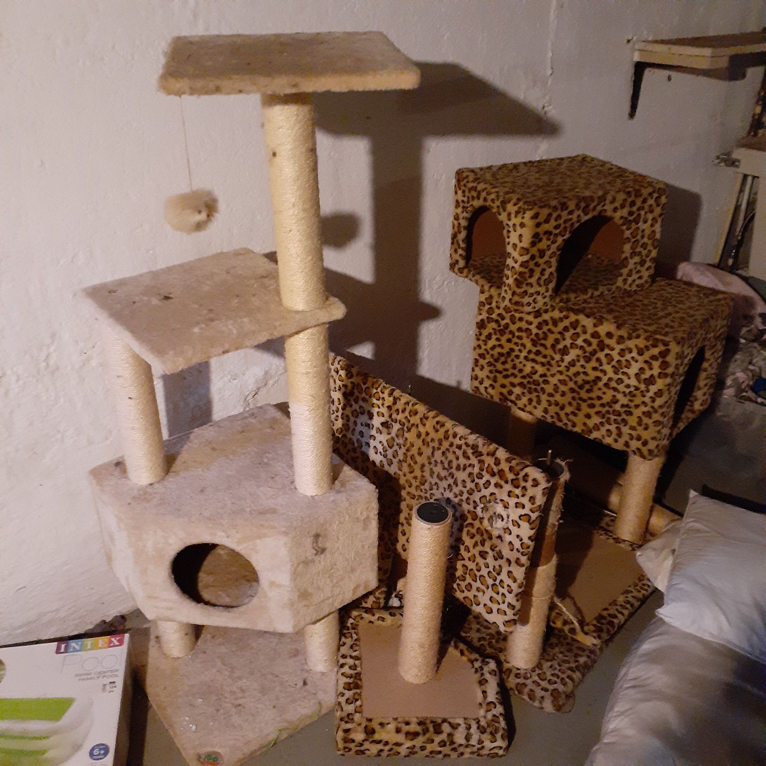 2 cat trees .. both can go together.. pretty large
