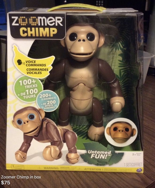 Interactive Chimp