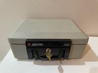 Sentry 1100 Fire-Safe Box