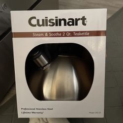 steam and sooth teakettle 