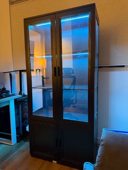 Black Book Case Cabinet