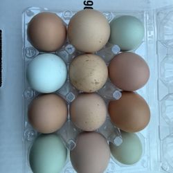 Farm Fresh Eggs 1 Doz 
