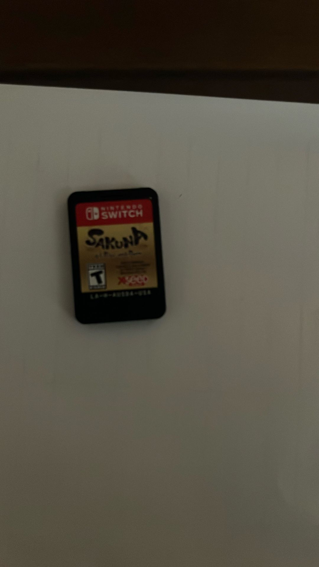 Nintendo Switch Game