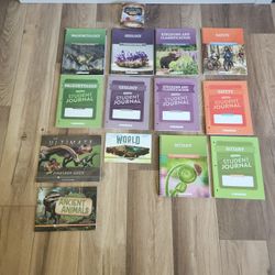 Curriculum