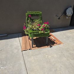 Garden Chair W/real Plant
