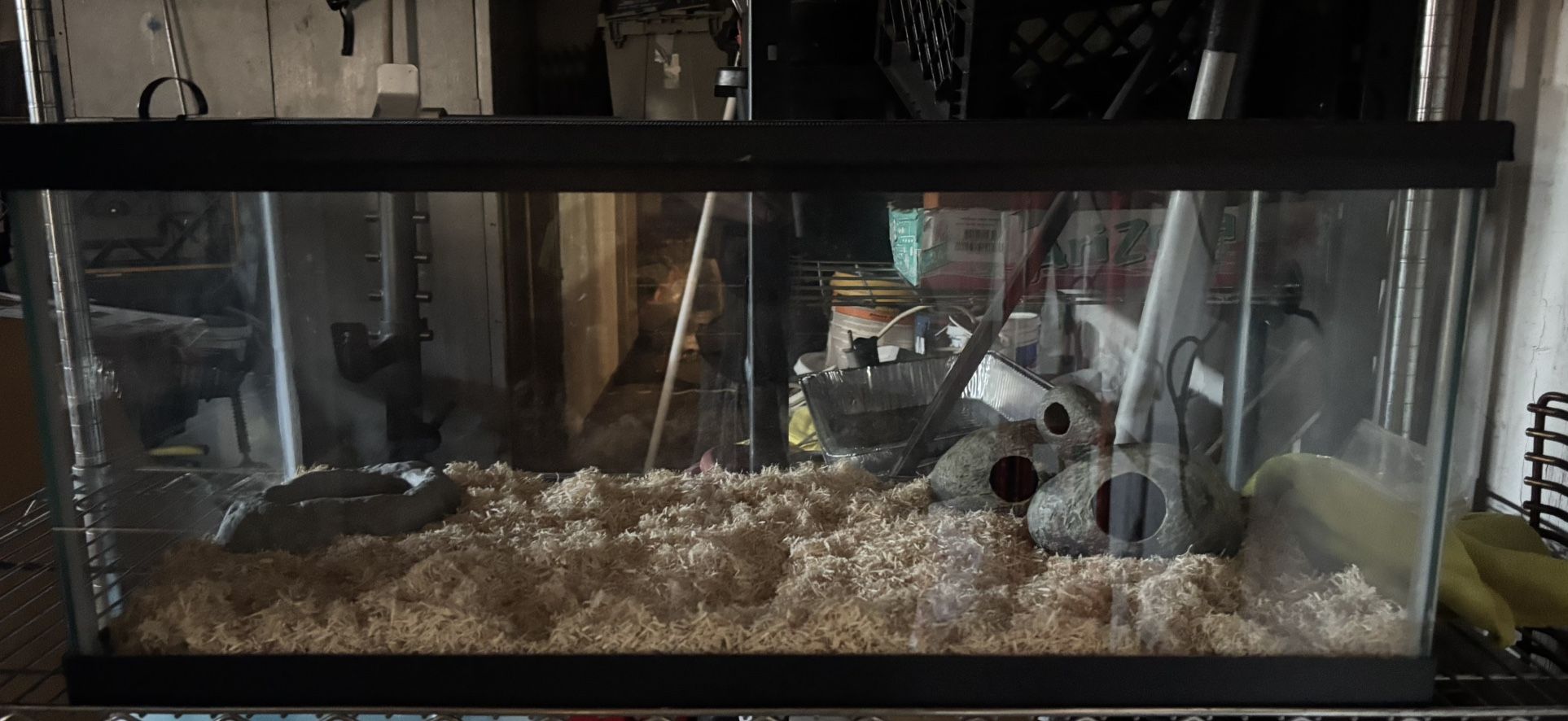 20 Gallon Fish Tank Reptiles Tank