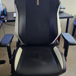Secretlab Titan Evo Gaming Chair Neo Hybrid Leatherette Black And White XL Size