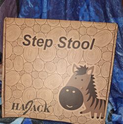 Stepping Stool