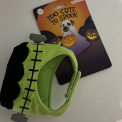 Halloween Hat For Pet