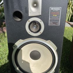 Speaker Fisher Used 