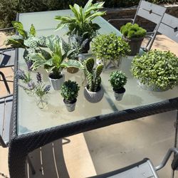 Artificial small house, Plants, QTY 13