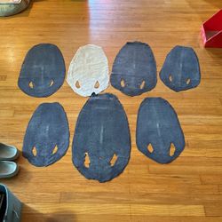 7 Polished Genuine Stingray Skins 