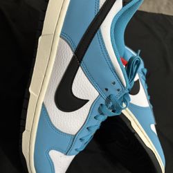 Nike Men’s Dunks N7
