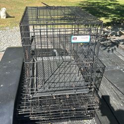Dog Cage