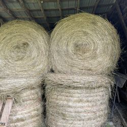 Hay