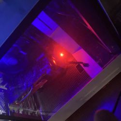 Pc