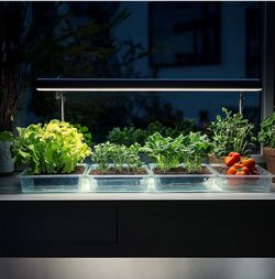 4' foot Grow Light 6400K 54 Watt 120V Hydroponic Lamp Ballast Fixture with NanoTech T5HO Reflector SunBlaster SL0900304