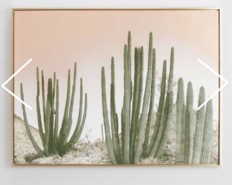 World market cactus art cost plus wall cactus gold frame