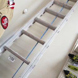 Werner Exstension Ladder