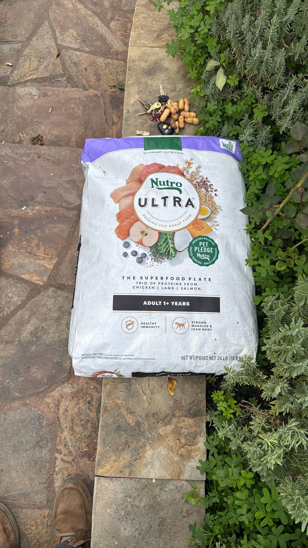 Nutro Ultra Dog Food