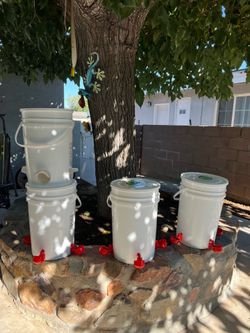 🐔 Automatic Chicken & Duck Feeders & Waterers – No More Waste! 🦆