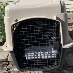 Kennel