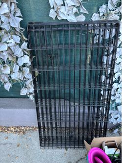 Free Dog items