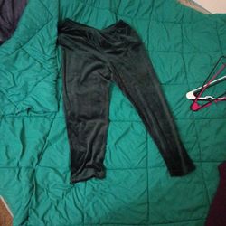 Dress Pants